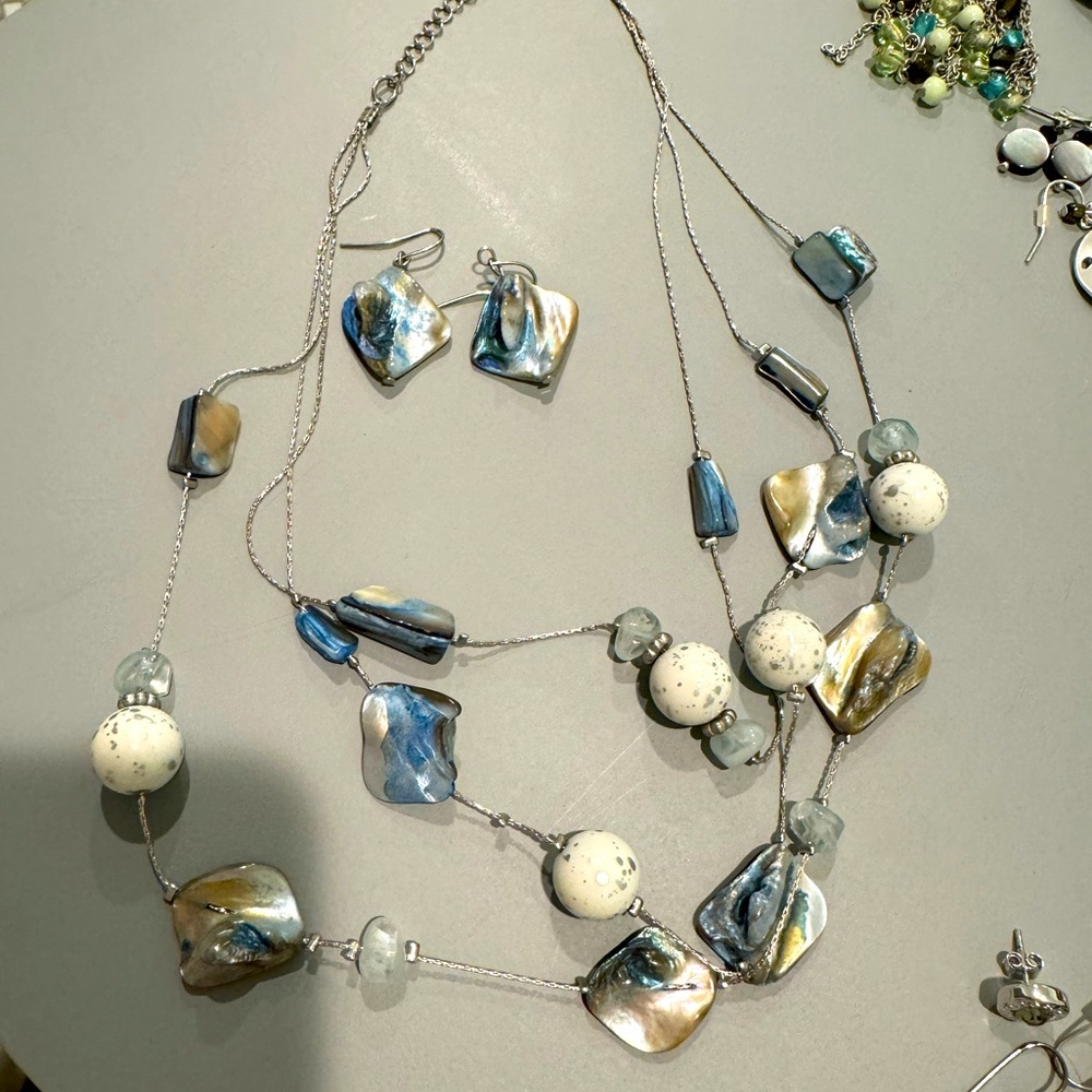 Beautiful shell necklace and earring set.